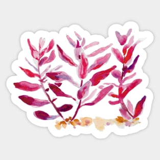 Aquarium Plant Series Red Rotala Macrandra Sticker